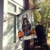 Krampus The Christmas Demon Spooky Halloween House Flag Large Porch Sleeve Pole Decorative Outside Yard Banner Artwork Wall Hanging, Polyester